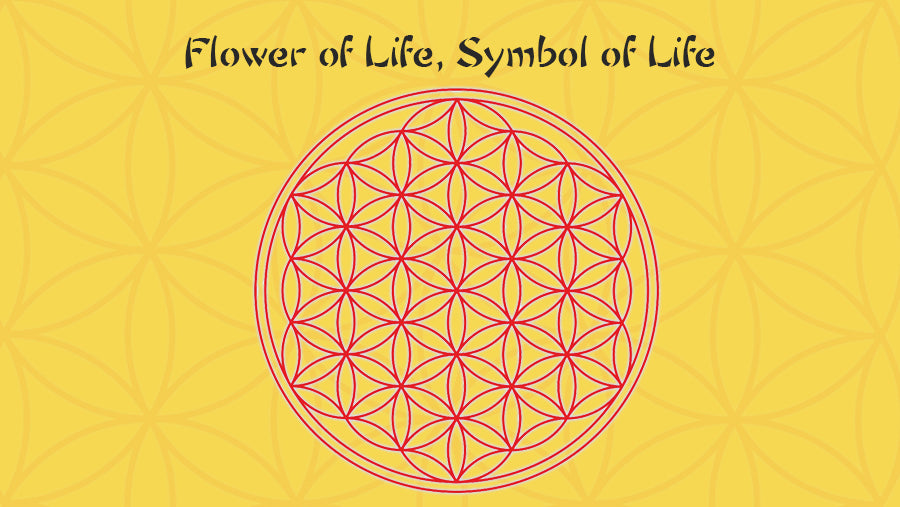 Circle Of Life Symbol